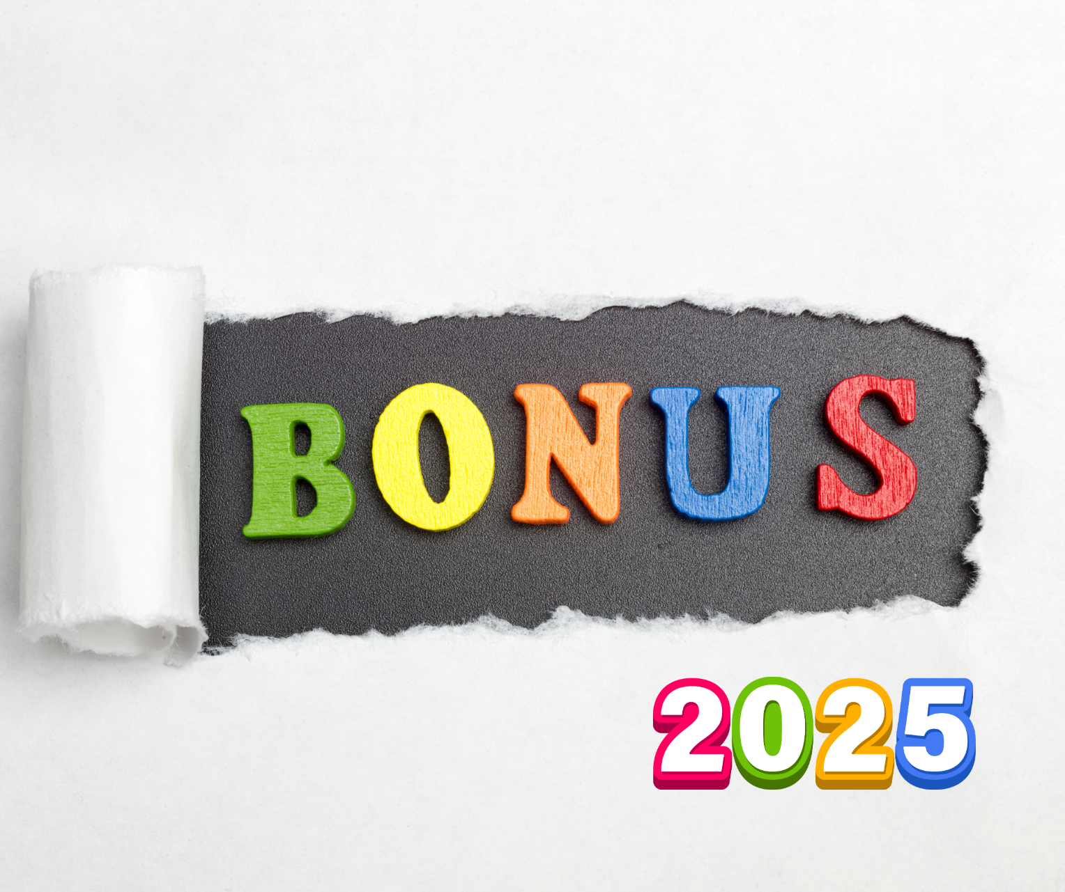 Al momento stai visualizzando Bonus 2025